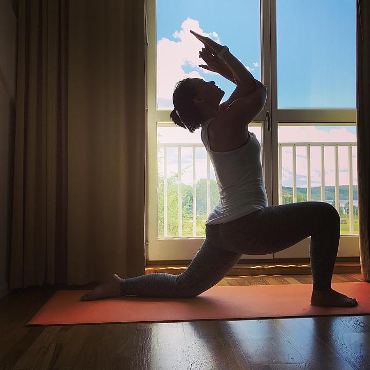Leken Vinyasa