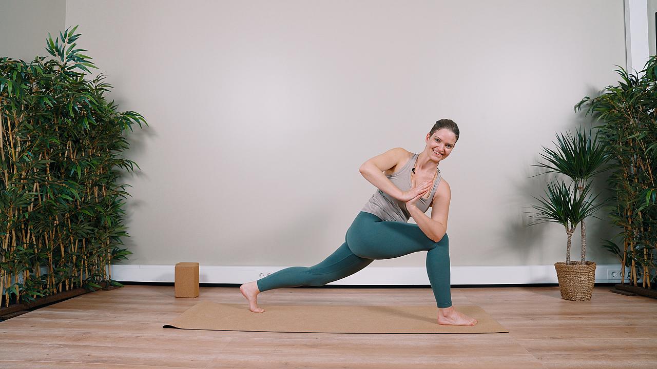 Vinyasa nybegynnerkurs 